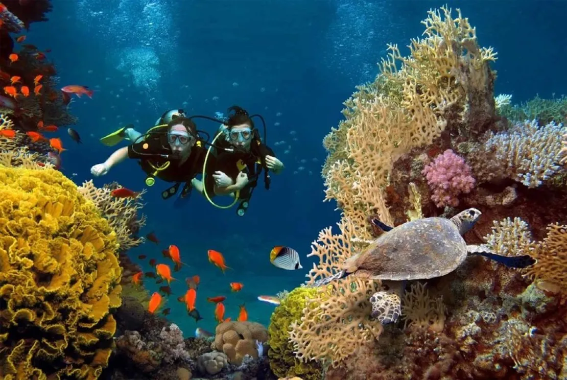 5 Spot Diving Bali Paling Direkomendasikan & Tips Sehatnya