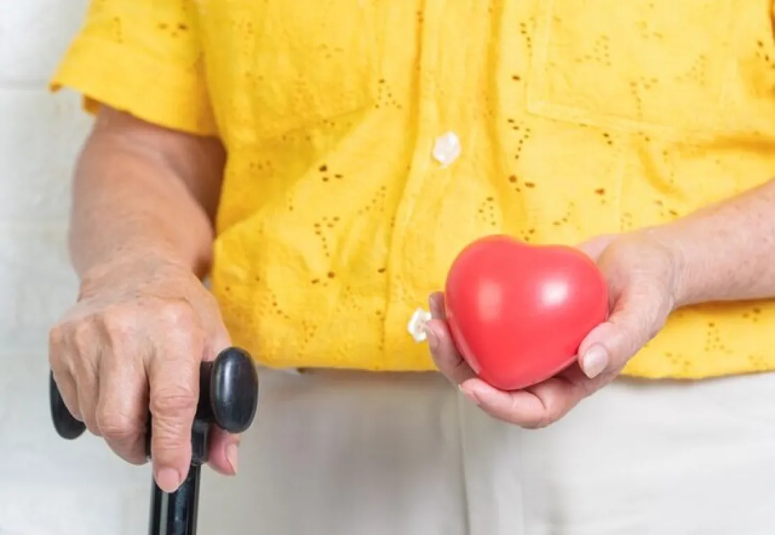 Lansia Wajib Tahu 10 Cara Menjaga Kesehatan Jantung Ini!