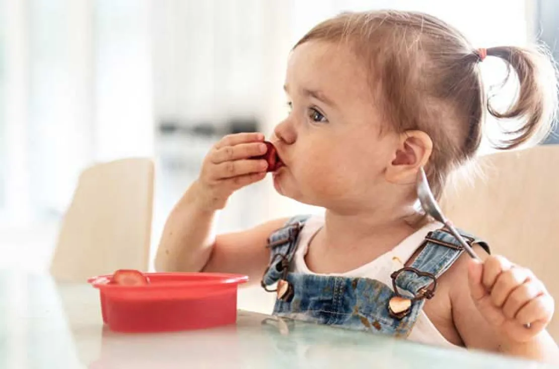 4 Camilan Sehat Untuk Anak Saat Berpergian Jauh