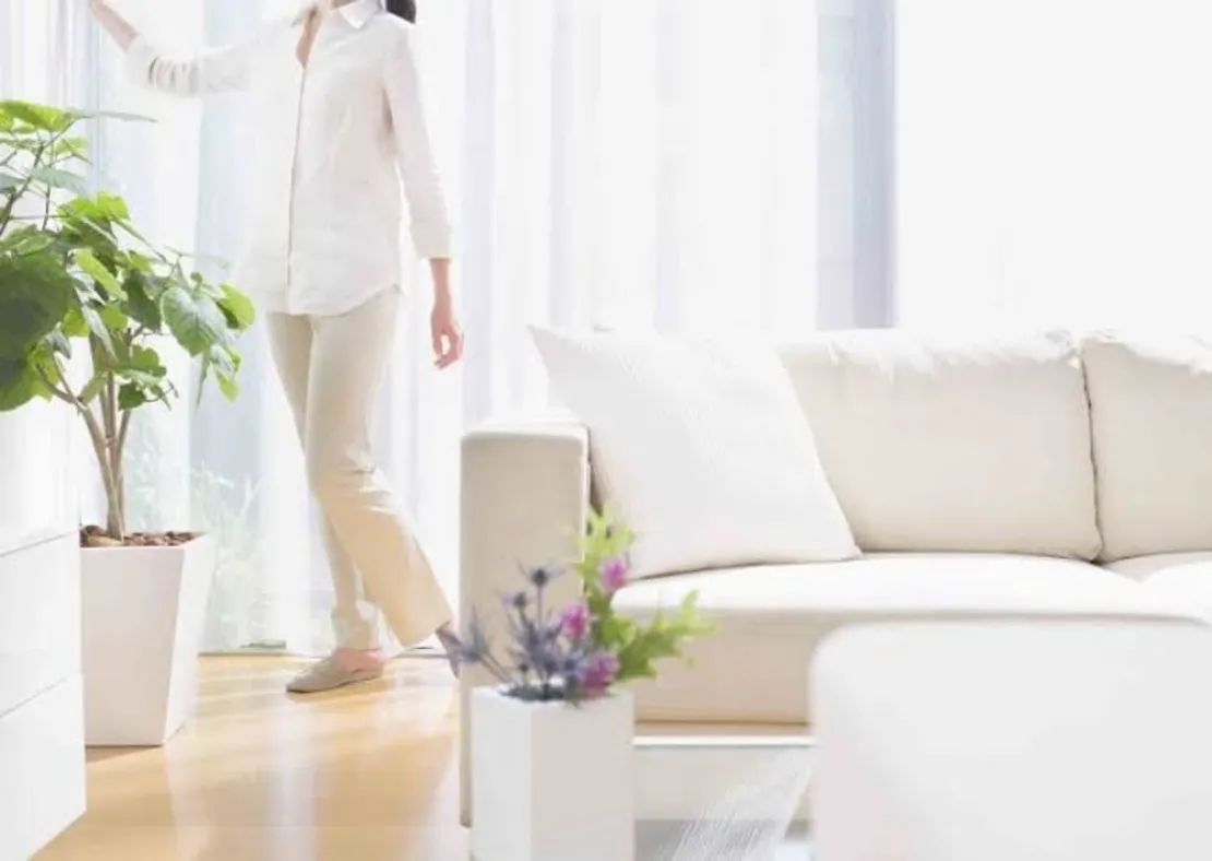 4 Kiat Menciptakan Udara Rumah Lebih Sehat dan Segar