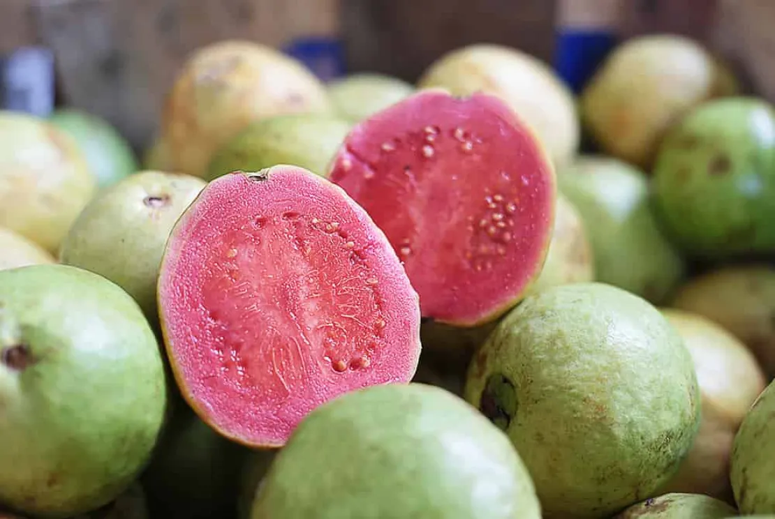 Jambu Biji: Kaya Vitamin C, Cegah Penyakit Musim Hujan