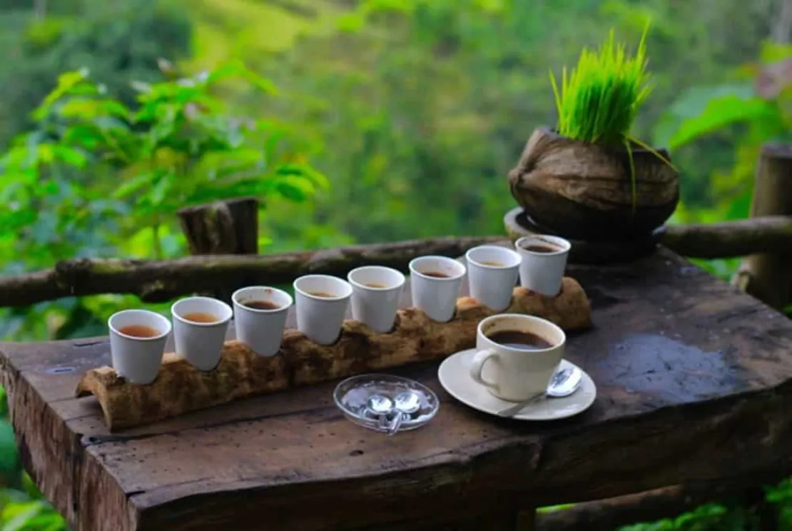 5 Destinasi Wisata di Indonesia Bagi Pecinta Kopi, Tertarik?
