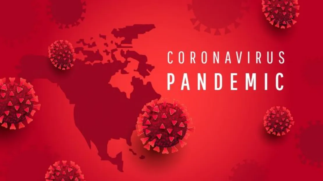 Begini Cara Virus Corona Masuk dan Bereaksi Pada Tubuh