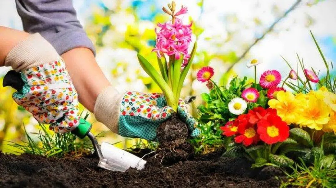 Atasi Stres Karantina dengan Berkebun di Lahan Sekitar Rumah