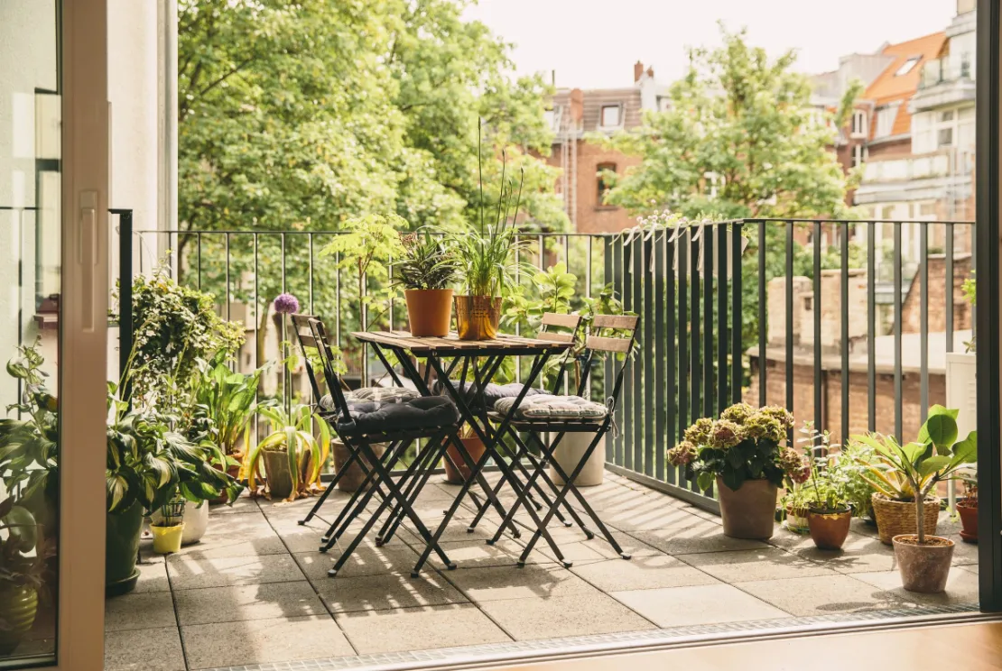 5 Tips Cerdas Berkebun di Lahan Sempit Seperti Balkon Apartemen