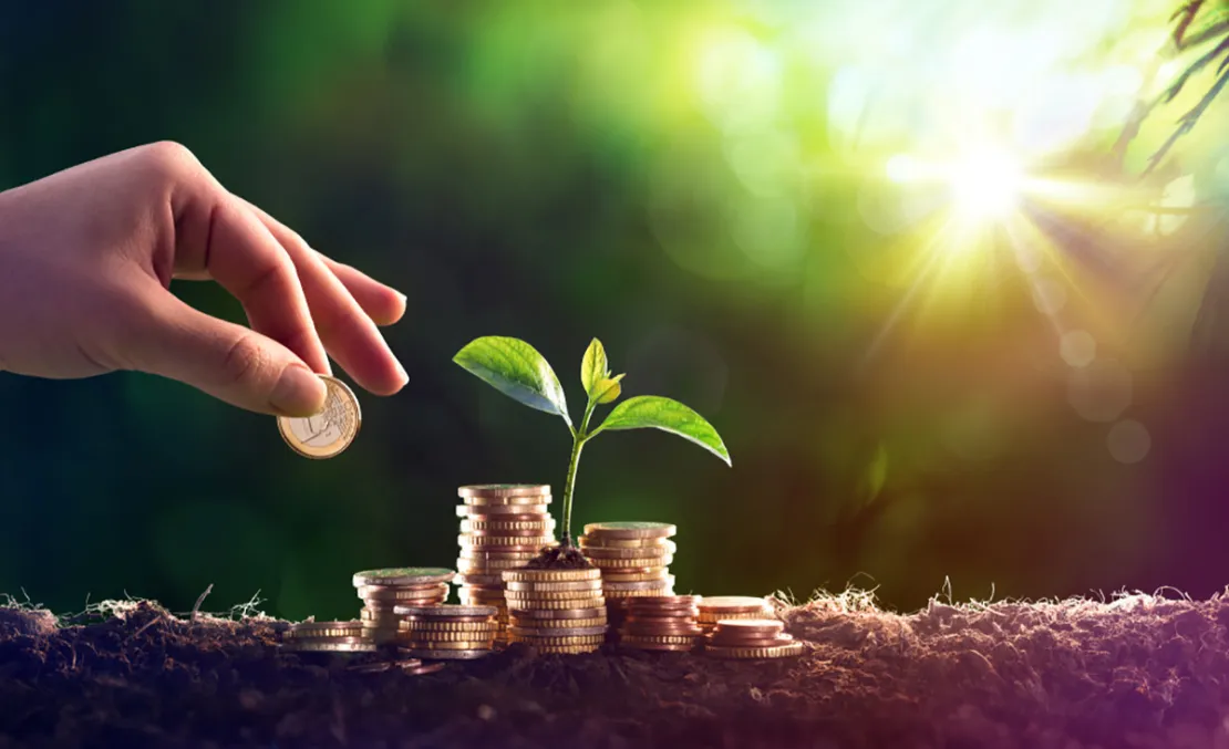 3 Jenis Investasi Jangka Pendek Cocok untuk Pemula
