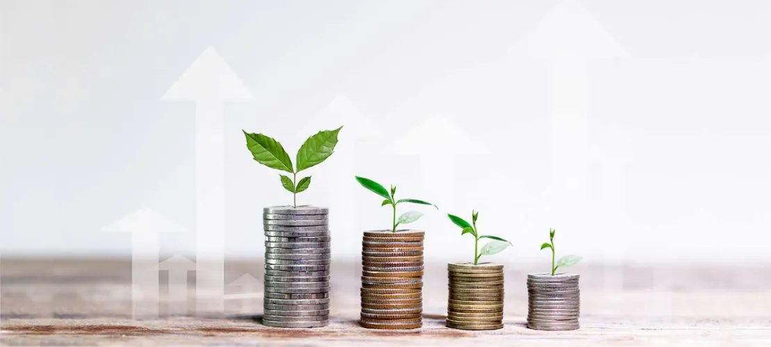Investasi Jangka Panjang Makin Diminati, Ketahui Sejumlah Manfaatnya