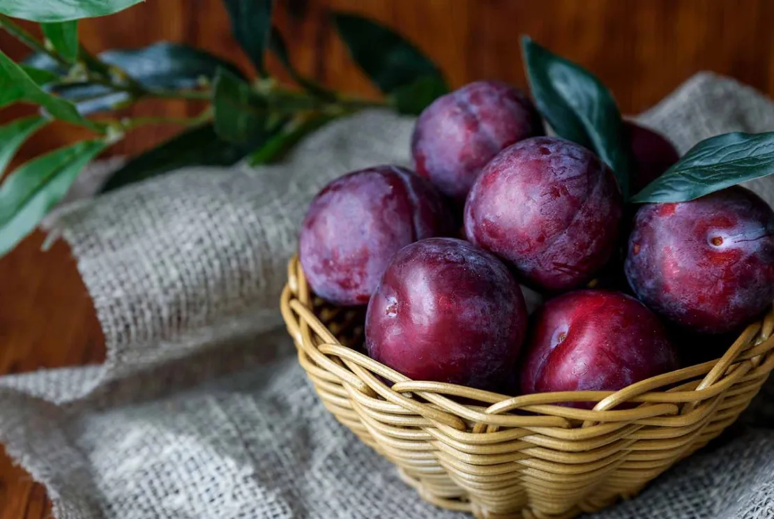 6 Manfaat Plum, Buah yang Mengandung Vitamin C, Baik Untuk Kesehatan!