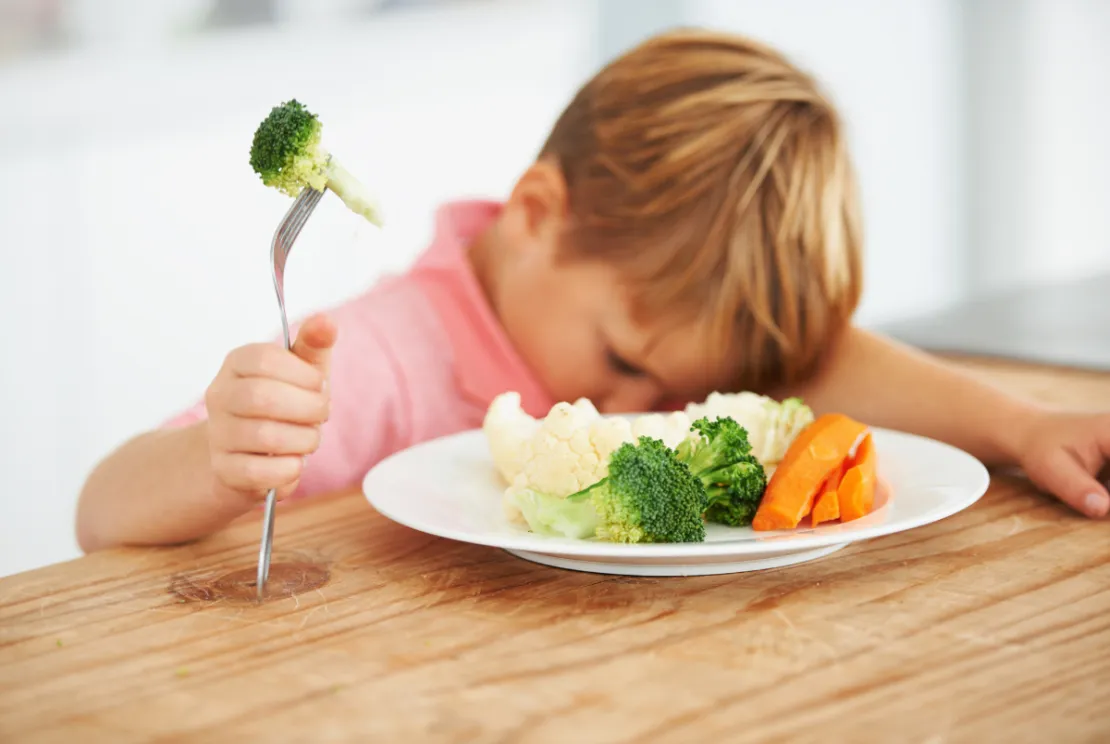 Si Kecil Termasuk Picky Eater? Atasi dengan 5 Trik Ini!