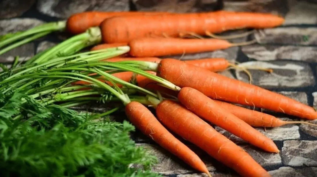 5 Sayur Sehat yang Wajib Dijadikan Menu Makanan Harian!