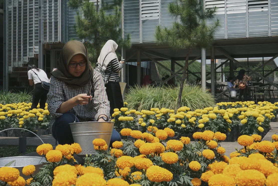 5 Tempat Wisata Viral di Indonesia yang Wajib Dikunjungi