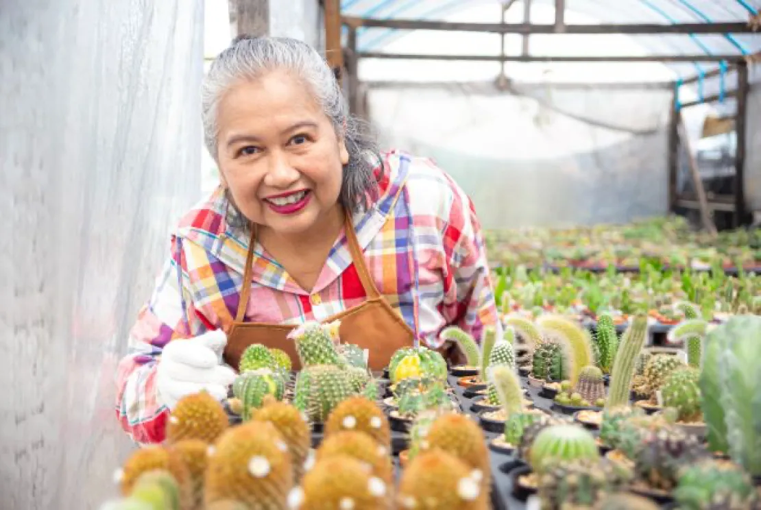 Tetap Produktif, Ini Tips Usaha Setelah Pensiun dan Idenya