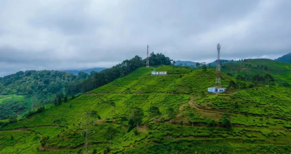 Liburan di Jawa Barat? Ini 5 Wisata Puncak Terbaru & Tipsnya