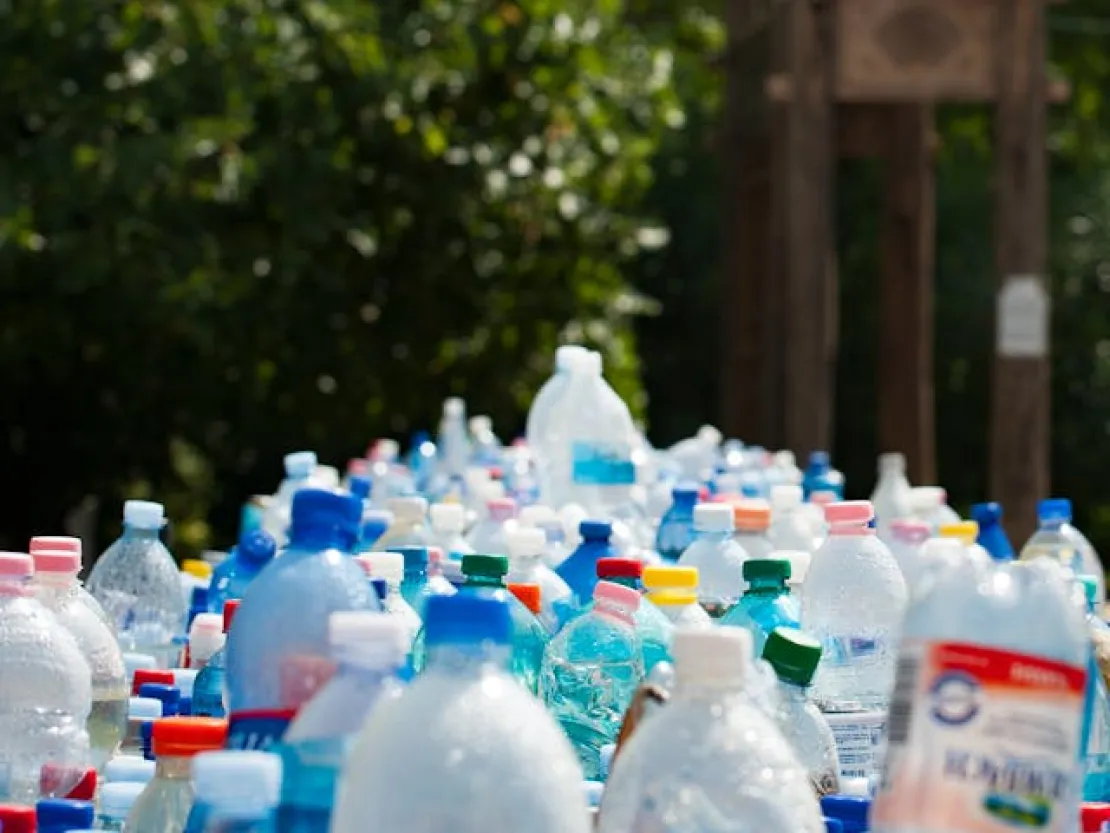 Ayo Mulai! Panduan Gaya Hidup Zero Waste & Manfaat Besarnya