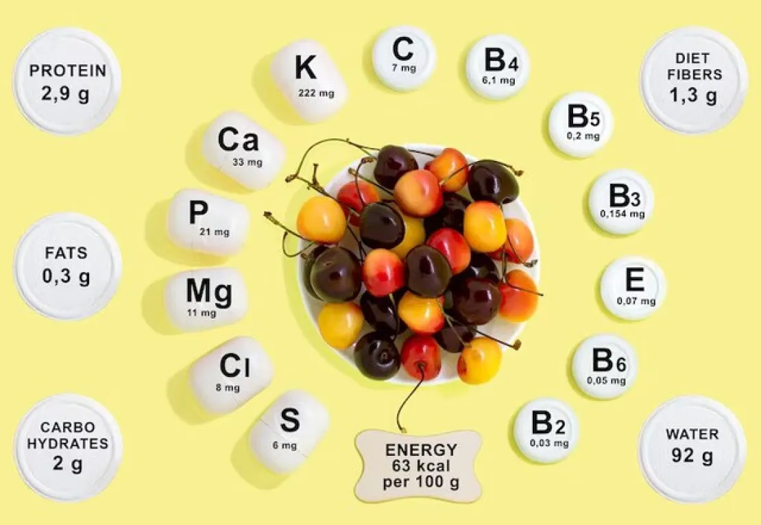 Vitamin untuk Meningkatkan Metabolisme Tubuh: Pilih Enervon!