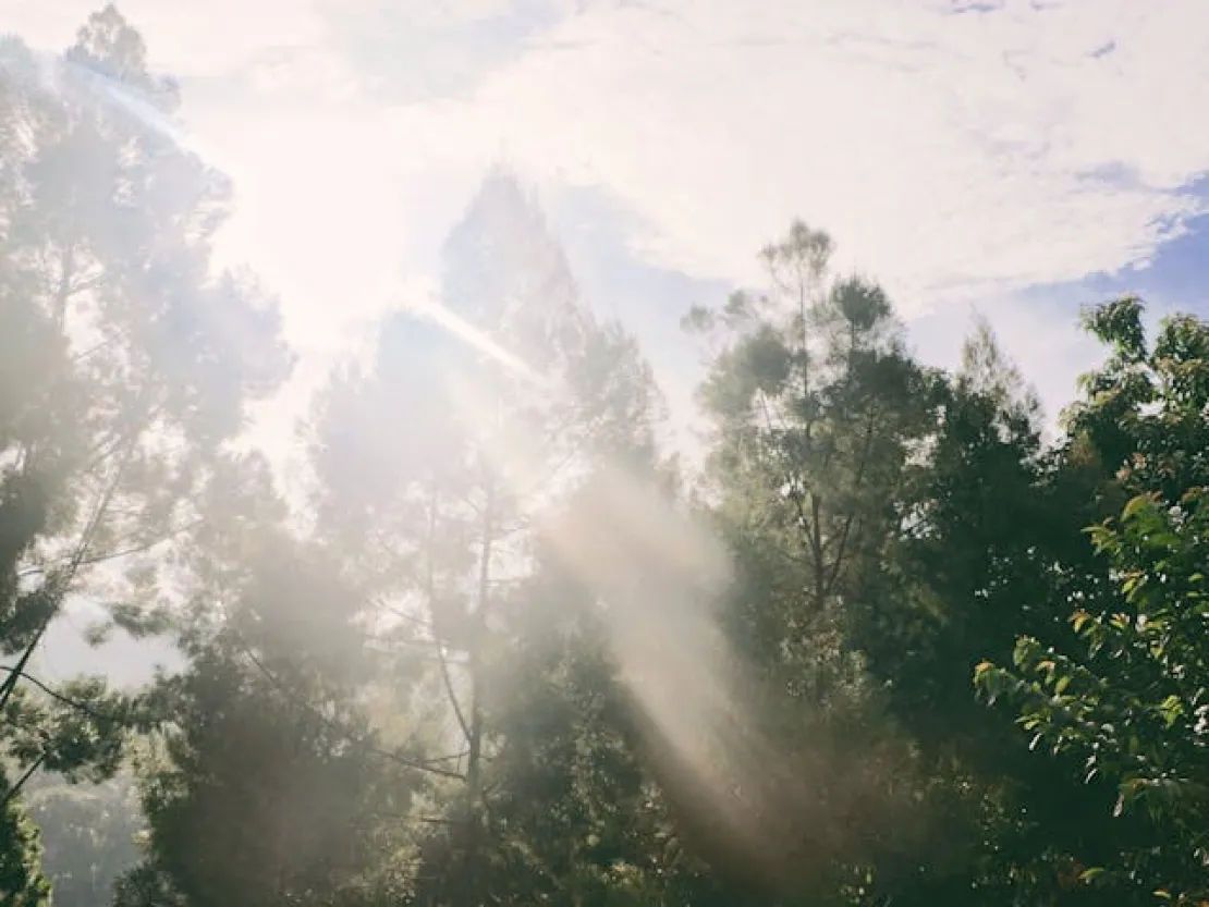 Jelajahi Wisata Bandung Terbaru: Ini Spot & Aktivitas Seru!