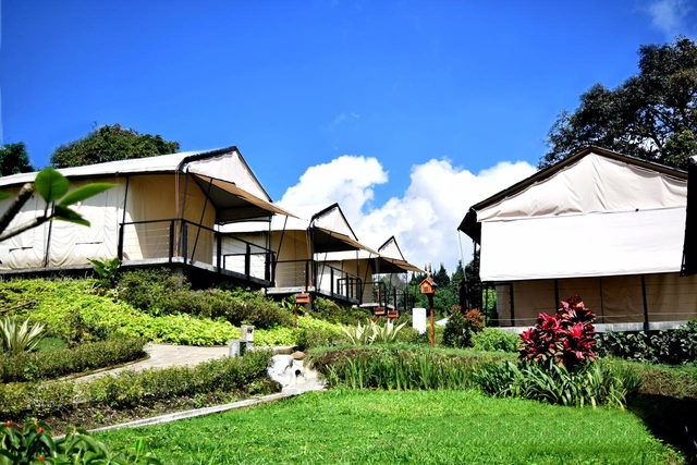 REKOMENDASI: 5 Spot Glamping Dengan Suasana Menyegarkan!