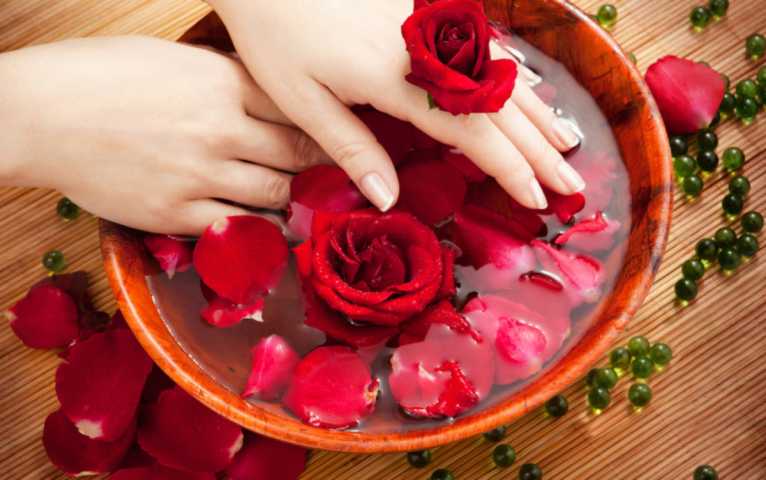 3 Manfaat Dari Bunga Mawar Yang Baik Untuk Tubuh Kamu Enervon