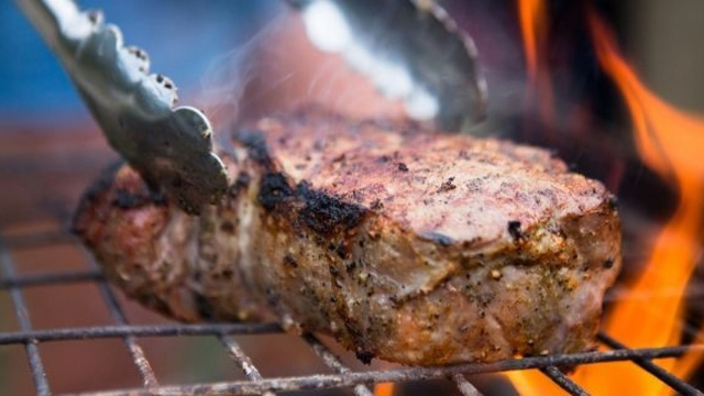 Suka Makanan yang Dibakar? Yuk, Ketahui Cara Menghindari Bahaya nya!