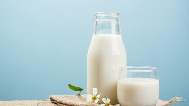 Segudang Manfaat Greek Yoghurt Yang Perlu Kamu Ketahui!