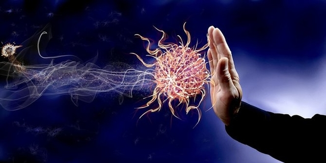 5 Fakta Tentang Sistem Kekebalan Tubuh Yang Perlu Diketahui