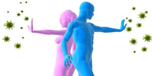 5 Fakta Tentang Sistem Kekebalan Tubuh Yang Perlu Diketahui