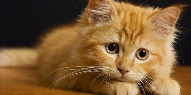 3 Sumber Kuman Di Sekitar Bayi Yang Sering Terlupakan