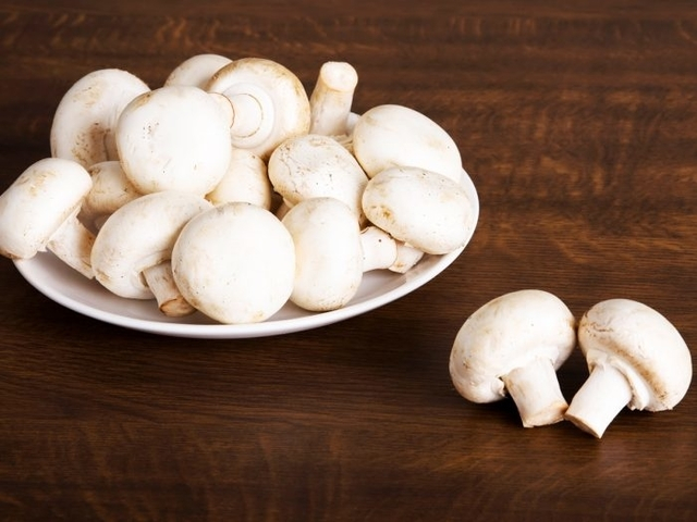 5 Jenis Sayur Terbaik Untuk Anak Yang Wajib Diketahui