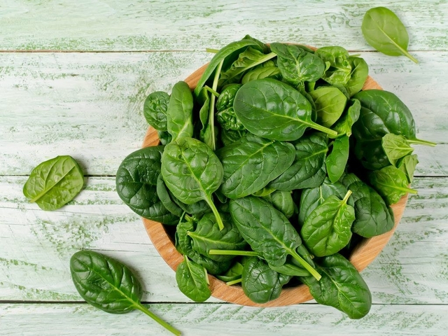 5 Jenis Sayur Terbaik Untuk Anak Yang Wajib Diketahui