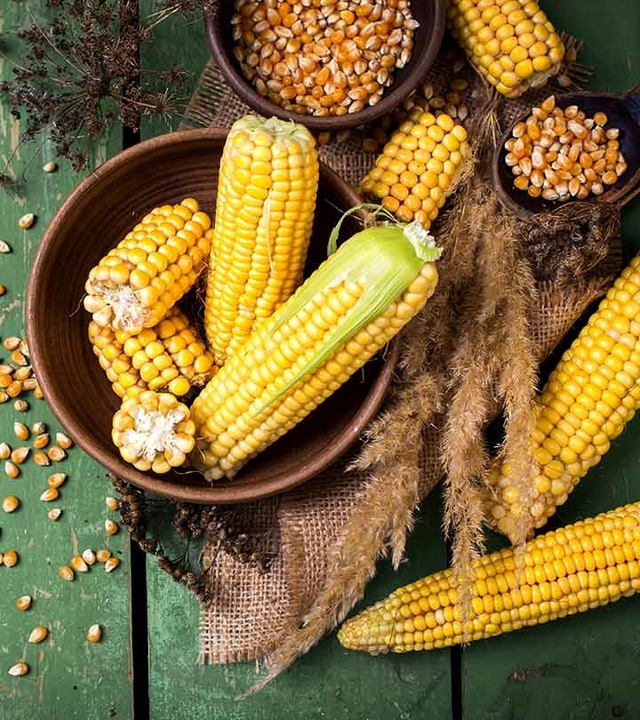 5 Jenis Sayur Terbaik Untuk Anak Yang Wajib Diketahui