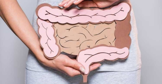 Kekuatan Daya Tahan Tubuh Bisa Diukur dari Bakteri Dalam Usus