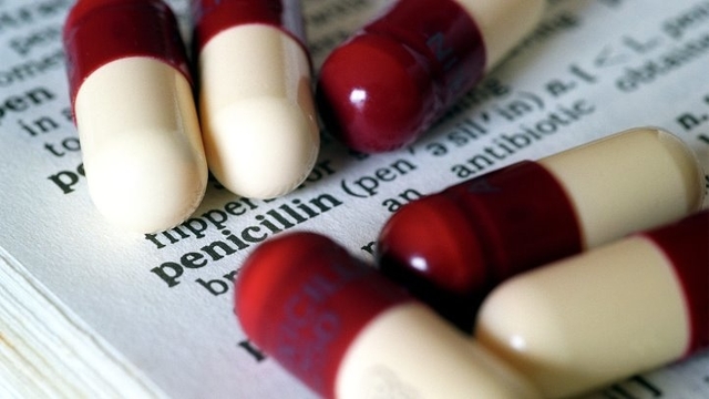 Berikut Ini Obat Dan Suplemen Yang Wajib Kamu Bawa Saat Traveling!
