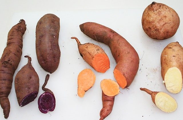 7 Makanan Sehat Pencegah Kanker Yang Harus Kamu Ketahui!