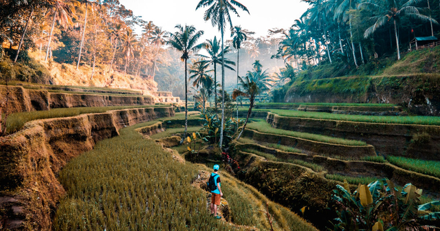 5 Alasan Mengapa Liburan ke Bali Tidak Pernah Membosankan