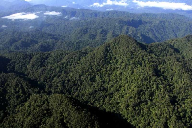 Berikut Ini 5 Gunung Indonesia Dengan Jalur Pendakian Ekstrem! Ingin Coba?