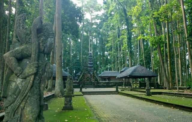Tidak Selalu Pantai, Ini Dia Wisata Hutan Bali Yang Wajib Kamu Kunjungi!