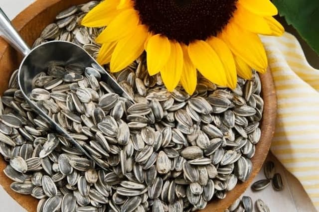 Cemilan Sehat Untuk Diet Keto yang Bisa Jaga Berat Badan