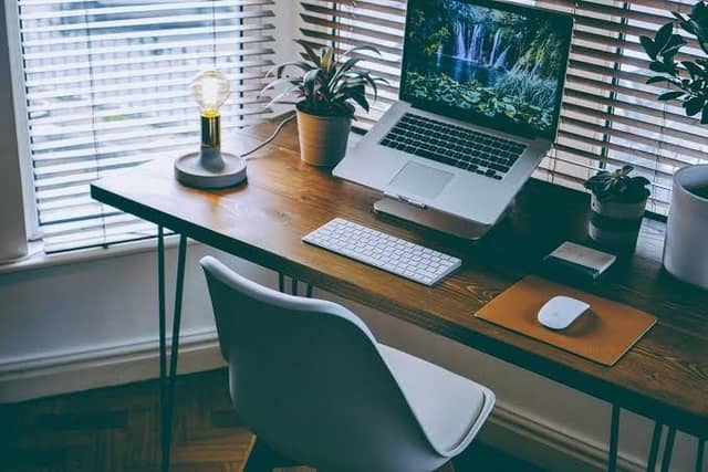5 Item Dekorasi di Ruang Kerja Kantor yang Bikin Makin Produktif