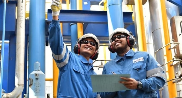 Ini Dia Jenis- Jenis Pekerjaan yang Cocok Untuk Orang Indonesia