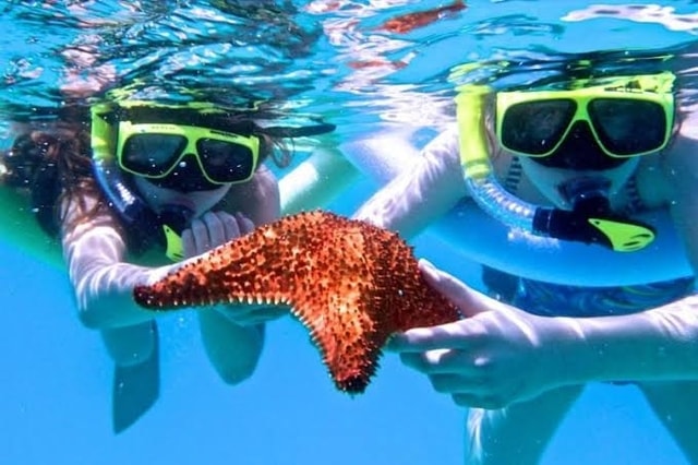Berikut Ini Tips Snorkeling Untuk Kamu yang Masih Pemula!