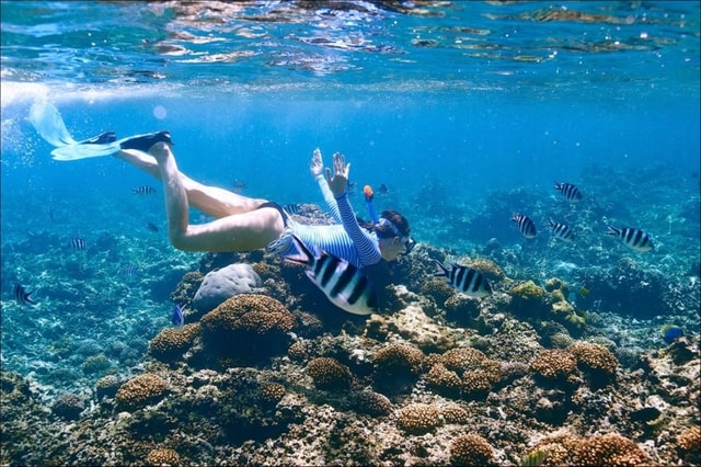 Berikut Ini Tips Snorkeling Untuk Kamu yang Masih Pemula!