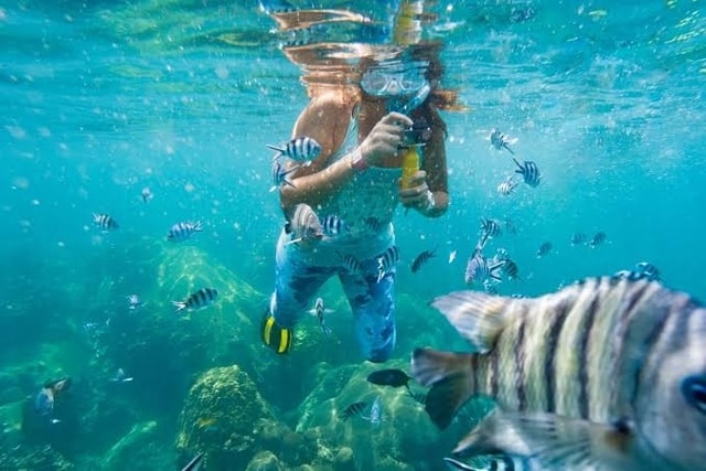 Berikut Ini Tips Snorkeling Untuk Kamu yang Masih Pemula!