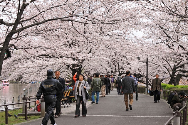 6 Hal yang Bikin Travelling ke Jepang jadi Worth It. Kamu Setuju Nggak Nih?