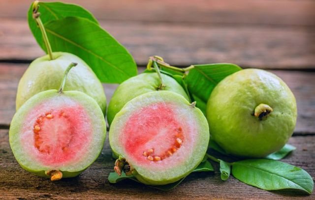 Jambu Biji: Kaya Vitamin C, Cegah Penyakit Musim Hujan