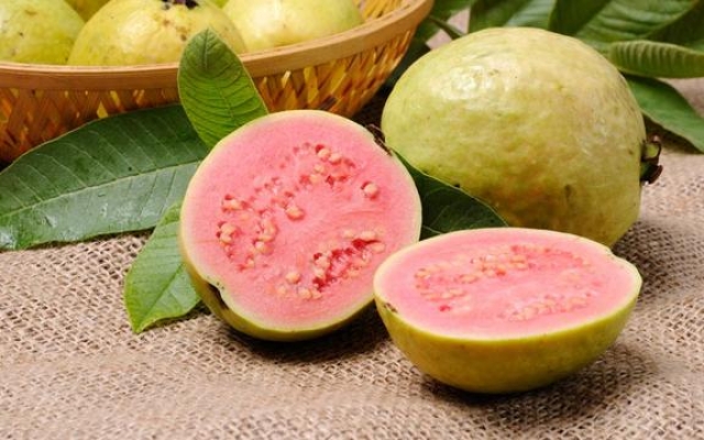 Jambu Biji: Kaya Vitamin C, Cegah Penyakit Musim Hujan