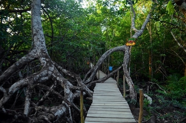 5 Tempat Wisata Alam Ini Hanya Ada di Belitung, Penasaran?