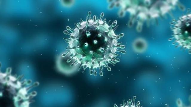 Berikut ini Cara Indonesia Mendeteksi Virus Corona Menurut Peneliti