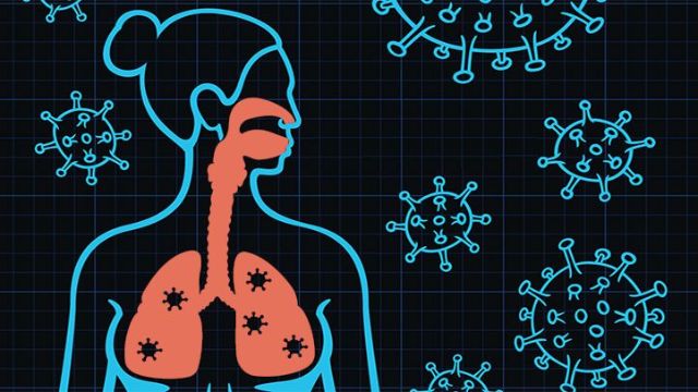 Covid-19: Ini Hoaks dan Fakta Seputar Antibodi yang Perlu Diketahui