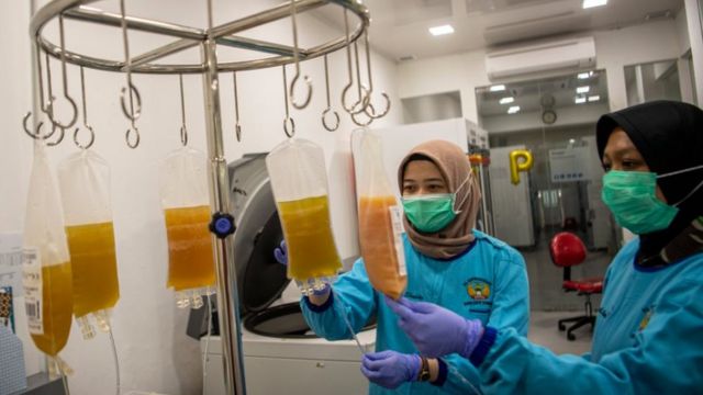 Mengenal Terapi Konvalesen Untuk Covid-19 dan Cara Kerjanya