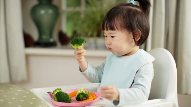 Mendidik Anak Untuk Suka Sayur, Lakukan Dengan Cara yang Menyenangkan